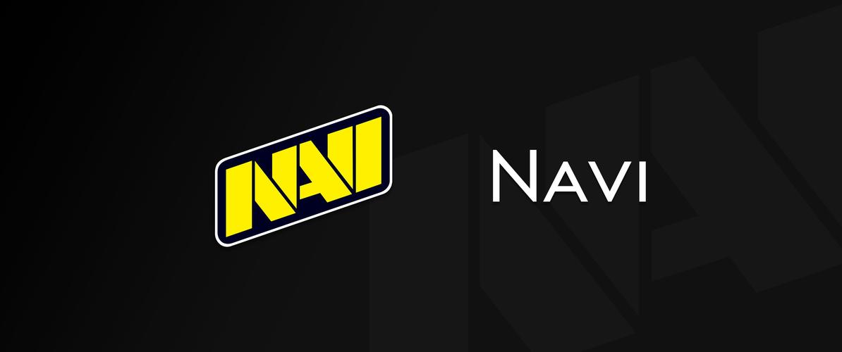 csgo战队介绍-Natus Vincere(NaVi)